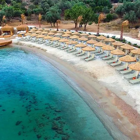 Resort&spa Hotel 5*