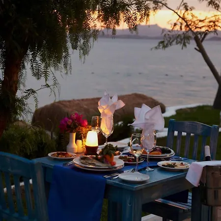 Resort&spa 5*
